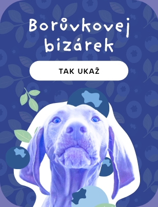 Boruvkovej bizar